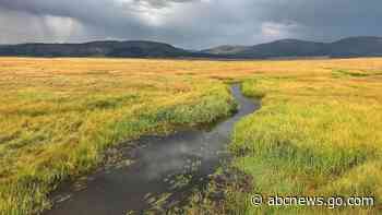 New Mexico governor joins US conservation challenge