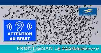 Frontignan - Lancement d'une campagne d'effarouchement des étourneaux - HERAULT direct