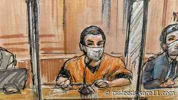 Legal analysis: Anton Lazzaro case