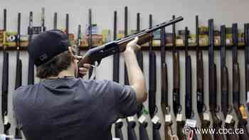 Alberta appoints province's first chief firearms officer