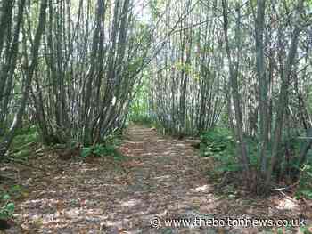 Letter: Would a planning inspector ever save Eagley Woods?