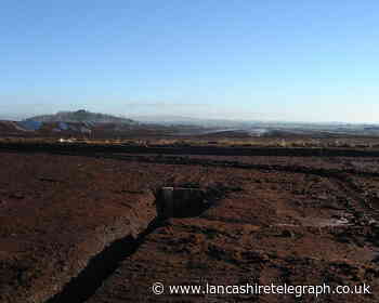 Thousands of hectares of vital peatland to be restored in UK
