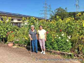 Steinen: „Sie sind einfach aufgegangen“ - Verlagshaus Jaumann - www.verlagshaus-jaumann.de