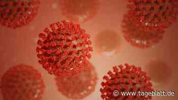 Diese Samtgemeinde im Landkreis Stade bleibt coronafrei - Landkreis Stade - Tageblatt-online