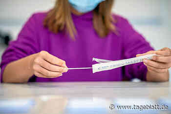 Schulstart mit Delta-Variante: Geht das gut? - Landkreis Stade - Tageblatt-online