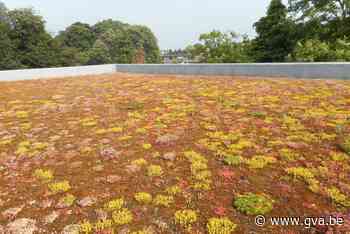 Groen en CD&V over lokaal klimaatbeleid: “Gewogen en veel te licht bevonden” - Gazet van Antwerpen