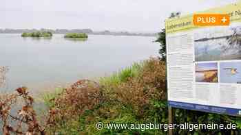 Pläne für Wullenstetter See: Dank seltener Kreuzkröte spart Senden Geld - Augsburger Allgemeine