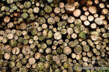 The EU Commission got its forest strategy wrong - EUobserver
