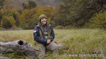 Chile's Forest and Park Service Seeks to Narrow Gender Gap in Protected Area Management - The Pew Charitable Trusts