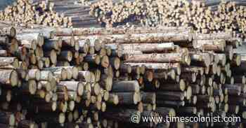 Letters Aug. 26: The reality of forest-industry jobs; safety in downtown Victoria - Times Colonist