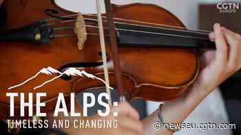 Salvaging the wreckage of the musical forest - CGTN - CGTN