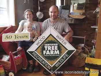 Saving the forest, one generation at a time - The Laconia Daily Sun