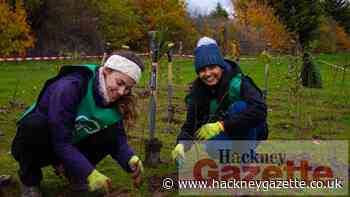 Power company plants 'tiny urban forests' in Hackney and Little Ilford - Hackney Gazette