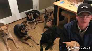 B.C. 'dog whisperer' wins right to assess condemned canine in death row dog case