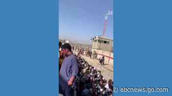 WATCH:  Desperate Afghans wait at Kabul airport