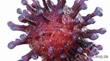 Corona im Kreis Neu-Ulm: Infizierte, Regeln, Impfquote: Aktuelles zu Corona im Landkreis Neu-Ulm - SWP