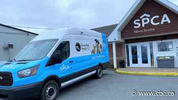 N.S. SPCA pioneers partnership with U.S. counterpart for animal relocation