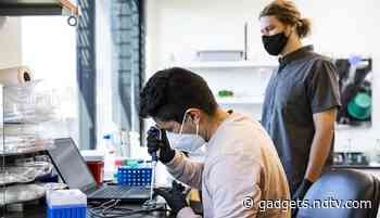 Researchers Develop 'NanoporeTERs' That Could Potentially Allow Computers to Directly Read Cells