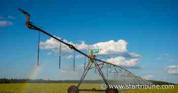 Why don't farms water their crops at night?