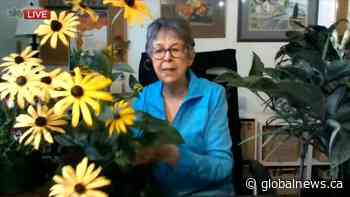 Keep your annual flower containers looking good