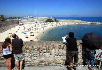 Salis, Gravette, Cap d'Antibes... On fait le point sur la qualité des eaux de baignade des plages d'Antibes