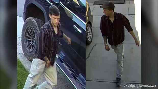 Airdrie RCMP release photos of garage break-in suspect