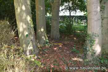 Rechter laat bronbemaling pastorietuin stilleggen op straf 10.000 euro boete per dag
