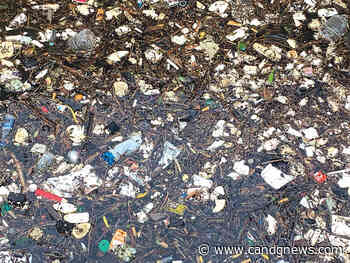 Pilot project aims to reduce trash going into Lake St. Clair - C&G Newspapers