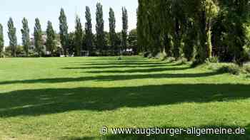 Klima-Bäume: Bitte keine Mogelpackung beim Stadtgrün