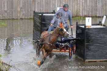 Robbe (12) doet mee aan Europees kampioenschap mennen: “Ik vind het al een superervaring dat ik kan meedoen