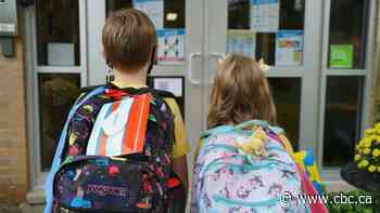 Toronto schools to get new, take-home COVID-19 testing kits this fall