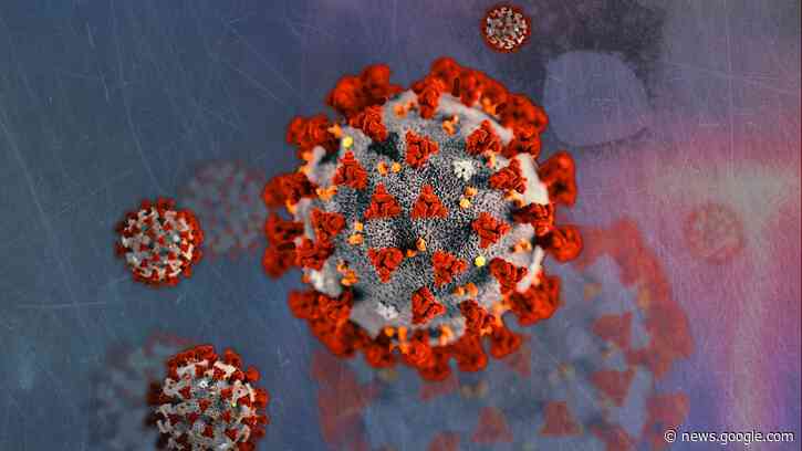 SC reports 6,697 new COVID cases, 3rd highest total since start of pandemic - WIS10