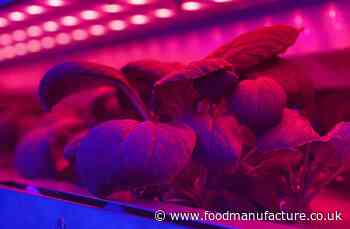 Emerging Science: fresh produce and light manipulation