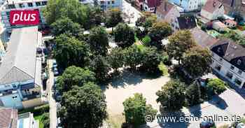 Bischofsheim setzt WIR-Projekt fort - Echo-online