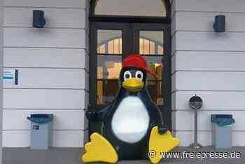 Pinguin-Figur aus Freibad in Mittweida verschleppt - Freie Presse