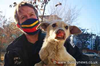 Pen Farthing, staff and animals 'awaiting flight out of Afghanistan' - Dudley News