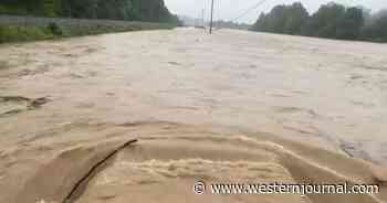 Man Notices Pickup Truck Stranded in Floodwaters, Saves Couple and 3 Dogs Before Water Can Sweep Them Away