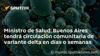 Ministro de Salud: Buenos Aires tendrá circulación comunitaria de variante delta en días o semanas - Sputnik Mundo