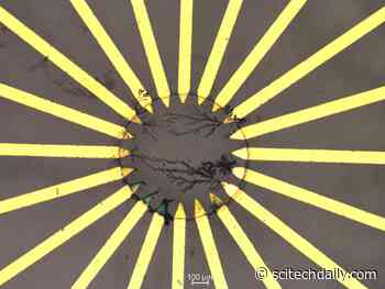 Implantable AI System Developed for Early Detection and Treatment of Illnesses