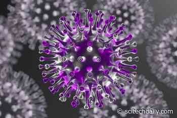 What Do We Know About the Delta Variant of COVID-19?