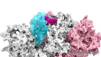 Hidden SARS-CoV-2 “Gate” Discovered – Opens To Allow COVID Infection