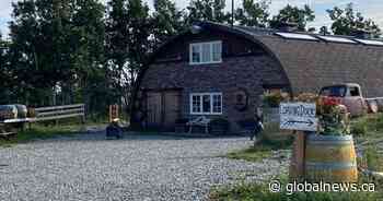 Agritourism in Alberta foothills expanding to diversify, share ‘passion and expertise’