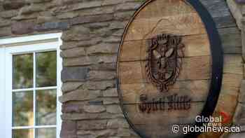 Tourism expanding in Alberta’s foothills