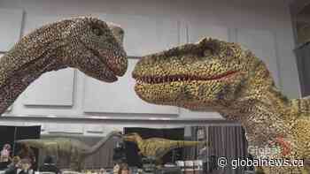 New dinosaur show ‘a dream realized’ for Alberta audiences
