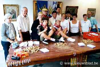 Feestcomité, inclusief klein ‘patatje’ Lauren, pakt maar liefst duizend aardappelen in voor jaarlijkse worp