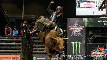 Jared Parsonage ready for bull-riding return to Lethbridge this weekend - Lethbridge News Now