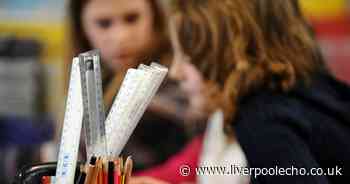 Staff and students urged to take Covid-19 test for school return - Liverpool Echo