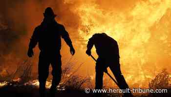 L'incendie de Poussan est maîtrisé, des habitations préservées des flammes - Hérault-Tribune