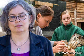 Dresden: Vogelstation droht das Aus - Bürgermeisterin schaltet sich ein - TAG24