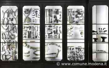 Apertura serale del Museo Civico con tre visite guidate - Comune di Modena